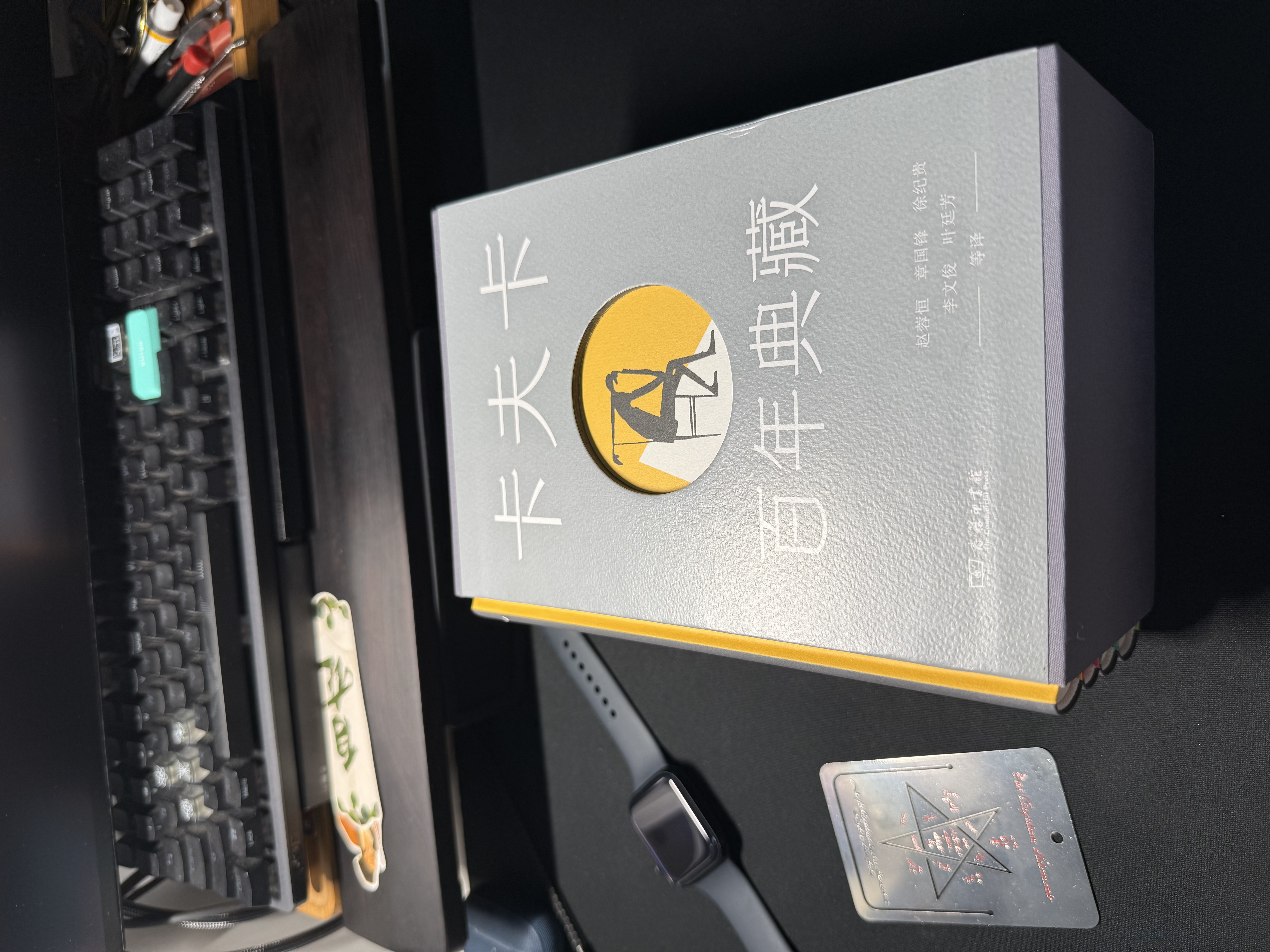 【名家名译】卡夫卡百年典藏全4册精装 包括小说城堡诉讼失踪者变形记 实拍图