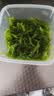 盖世调味裙带菜 净重2斤 芥末味即食海藻沙拉 海草海白菜 实拍图
