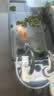森森耀蓝鱼缸壁挂式过滤器外置小型过滤桶净水过滤循环系统YBG-300 实拍图
