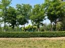 Naturehike挪客孤舟超轻秋千吊床 户外露营防侧翻野外野营单人家用公园双人 双人-孔雀蓝(织带款） 实拍图