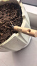 史丹利不锈钢小铲子花铲挖沙耙子园艺工具松土赶海沙滩玩具种菜养花套装 实拍图