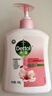 滴露（Dettol）洗手液抑菌消毒 滋润倍护500g*3+500g*3补充装 儿童家庭装 实拍图