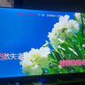 SONY XAVC品牌补贴20％55寸65寸70寸75寸85寸100寸智能网络全面屏电视机 65英寸 8K智能网络全面屏 实拍图