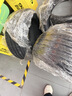 米其林（MICHELIN）汽车轮胎 205/55R16 91W 浩悦五代 Primacy 5 适配朗逸/宝来/英朗 实拍图