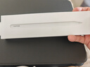 Apple/苹果 Pencil Pro 磁吸触控笔手写笔苹果笔电容笔书写绘画iPad笔 适用于iPad Pro/Air/mini机型 实拍图