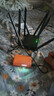 中国联通4gcpe无线移动路由器随身wifi6免插卡上网宝家用宽带免网线便携支持5G/4G设备上网全国通用流量 实拍图
