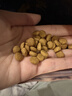 皇家绝育成猫粮 SA37通用粮1-7岁4.5KG 实拍图
