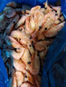 禧美海产熟冻北极甜虾净重3斤装/盒 150/180小号规格 MSC认证 轻食海鲜 实拍图