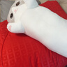 捉趣（ZHUOQU）猫咪抱枕毛绒玩具长条玩偶冰丝睡觉抱枕毕业礼物送女生生日礼物 灰色【冰丝面料独立内胆】 全长约110cm 实拍图