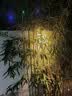 欧迹（OUJI）太阳能庭院灯户外洗墙射灯围墙壁灯防水led别墅花园阳台景观灯 4个装【1led暖光】附螺丝+胶片 实拍图