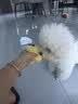HELLOJOY狗狗玩具耐咬磨牙球宠物幼犬小狗比熊用品小型犬拔河自嗨解闷神器 实拍图