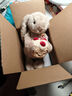 Jellycat害羞生日米色邦尼兔动物毛绒玩偶安抚娃娃送礼生日礼物 害羞生日米色邦尼兔 Medium 实拍图