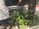 哈姆雷特划痕蜡通用色120ML汽车抛光蜡漆面深度划痕刮痕修复神器补漆 实拍图