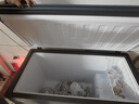 海尔（Haier）300L单温冰柜小型家用小冰柜冷藏冷冻转换冷柜小冰箱风冷无霜一级能效BC/BD-300WGHECD【价保618】 实拍图