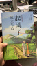 起风了 宫崎骏动画原著小说唯美插图珍藏本芥川龙之介弟子堀辰雄著作日漫感动无数作者的纯美恋歌爱情故事豆瓣高分 实拍图