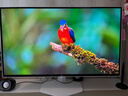 AOC 26.5英寸2K 原生280Hz 四代WOLED 10Bit HDR500 硬件低蓝光TUV 典雅白电竞游戏显示器Q27G4ZDP/WS 实拍图
