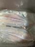 京东超市海外直采巴沙鱼柳1000g去皮去刺火锅食材鱼片鱼肉鱼类端午 实拍图