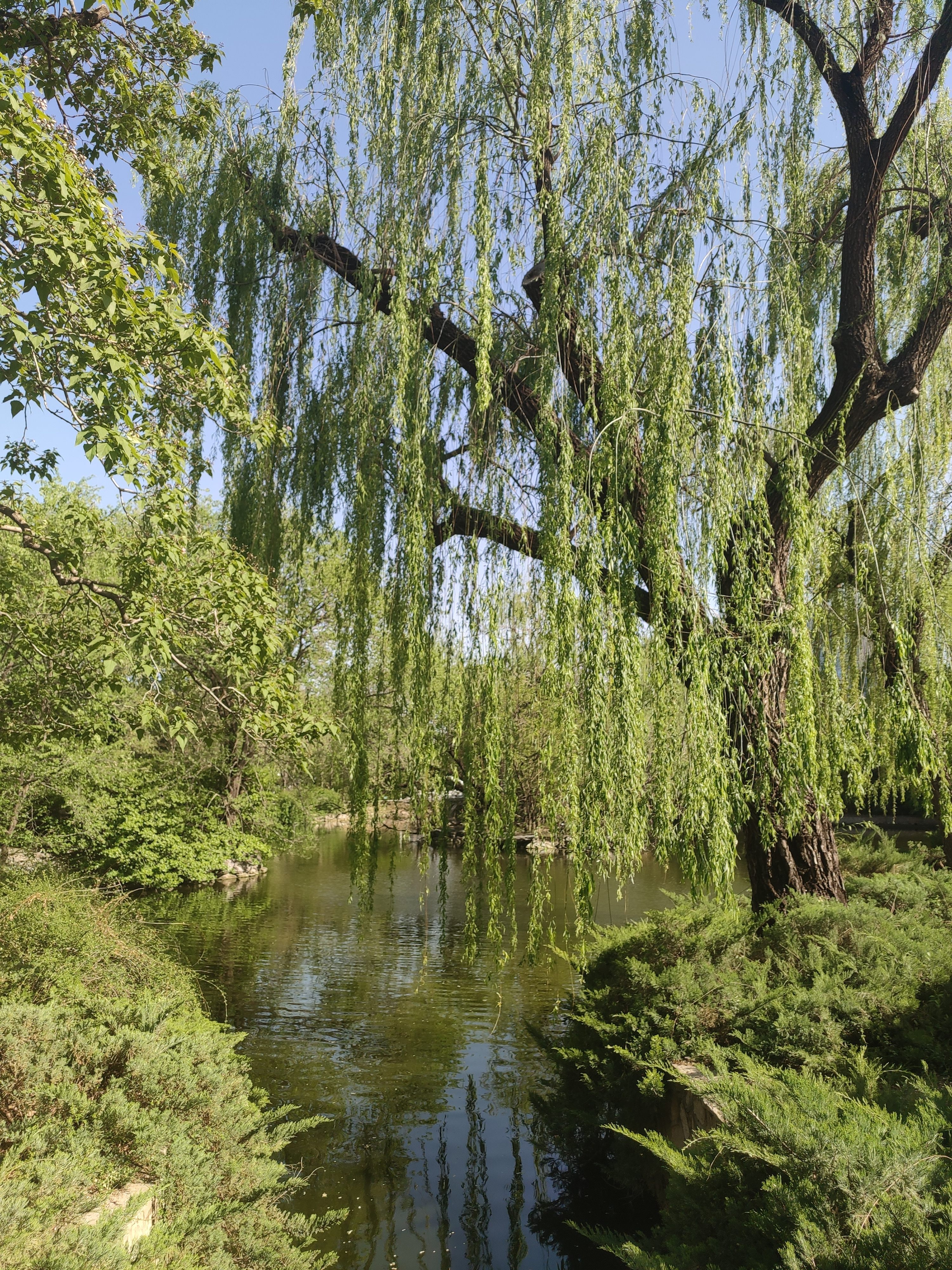 红豆（Hodo）A类夹棉床褥可水洗床垫1.5米x2米床垫褥子垫被保护垫子 星辰灰 实拍图