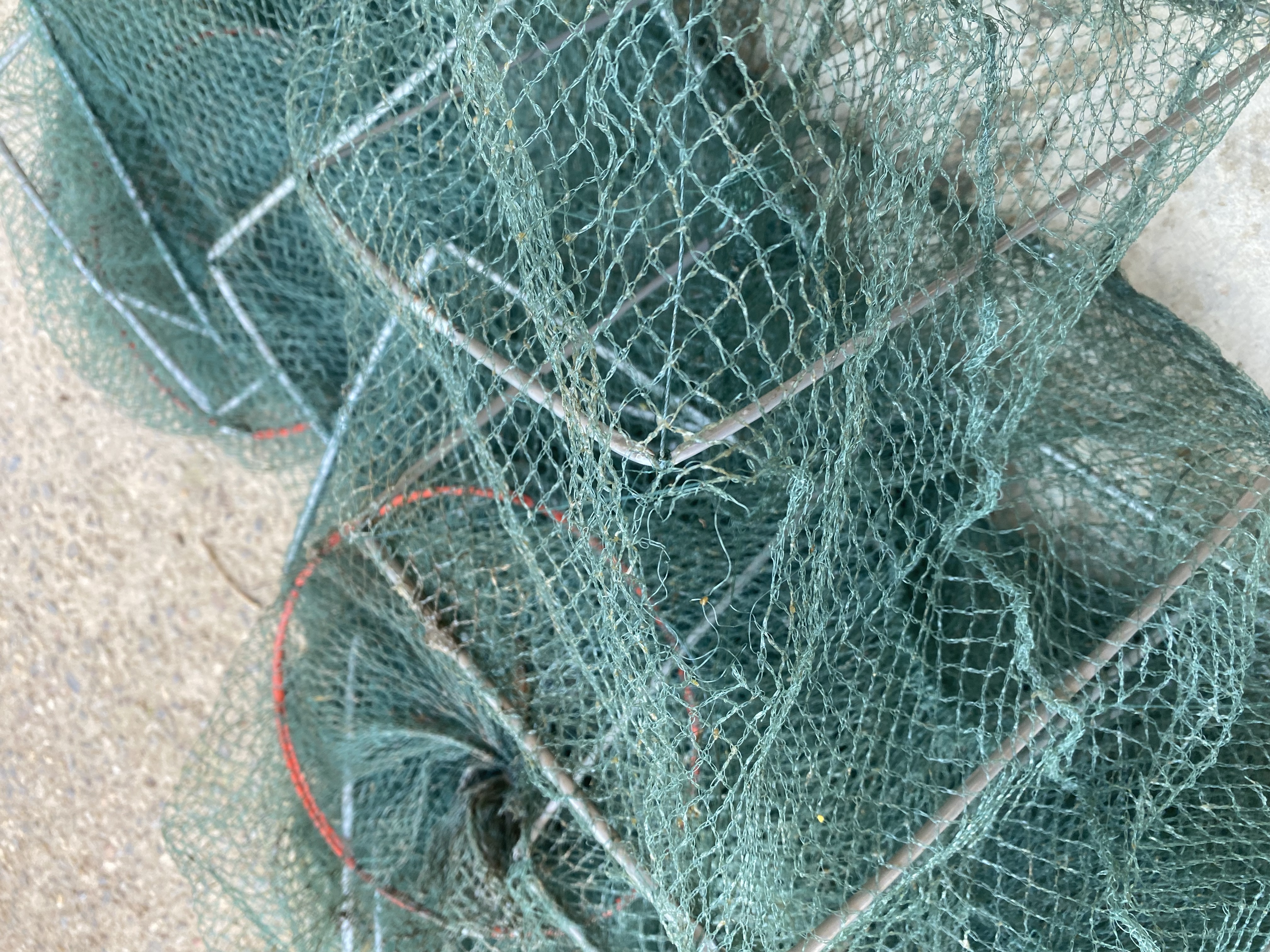 虾笼渔网鱼网龙虾网加厚捕鱼笼鱼笼捕虾网河虾网黄鳝泥鳅龙虾网 精品3米15节9洞全套皮带坠子 实拍图