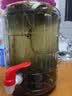 康之伴泡酒瓶玻璃瓶带龙头泡酒容器专用药酒泡菜坛子密封空瓶加厚储物罐 10斤加厚【带龙头】 实拍图