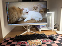 AOC 27英寸2K 原生320Hz 爱瞳圆偏光 硬件+AI动态低蓝光护眼 HDR400 1ms典雅白电竞显示器 Q27G4SL/WS 实拍图