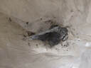 苏泊尔（SUPOR）吸尘器【价保618】家用有线手持推杆地毯两用大吸力大功率纤薄机身宠物家庭适用C3节日礼物 实拍图