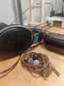 森海塞尔（Sennheiser）头戴式耳机 开放式HiFi高保真音乐耳机耳麦 舒适佩戴发烧级耳机 HD600 【HIFI经典款】 实拍图