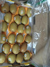 佳沛（zespri）新西兰金果巨大果22粒原箱单果146-175g 端午礼物水果礼盒 猕猴桃 实拍图