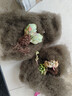 【亏本冲量】多肉植物盆栽新手套餐迷你绿植 2颗不同品种多肉(不带盆和土） 实拍图