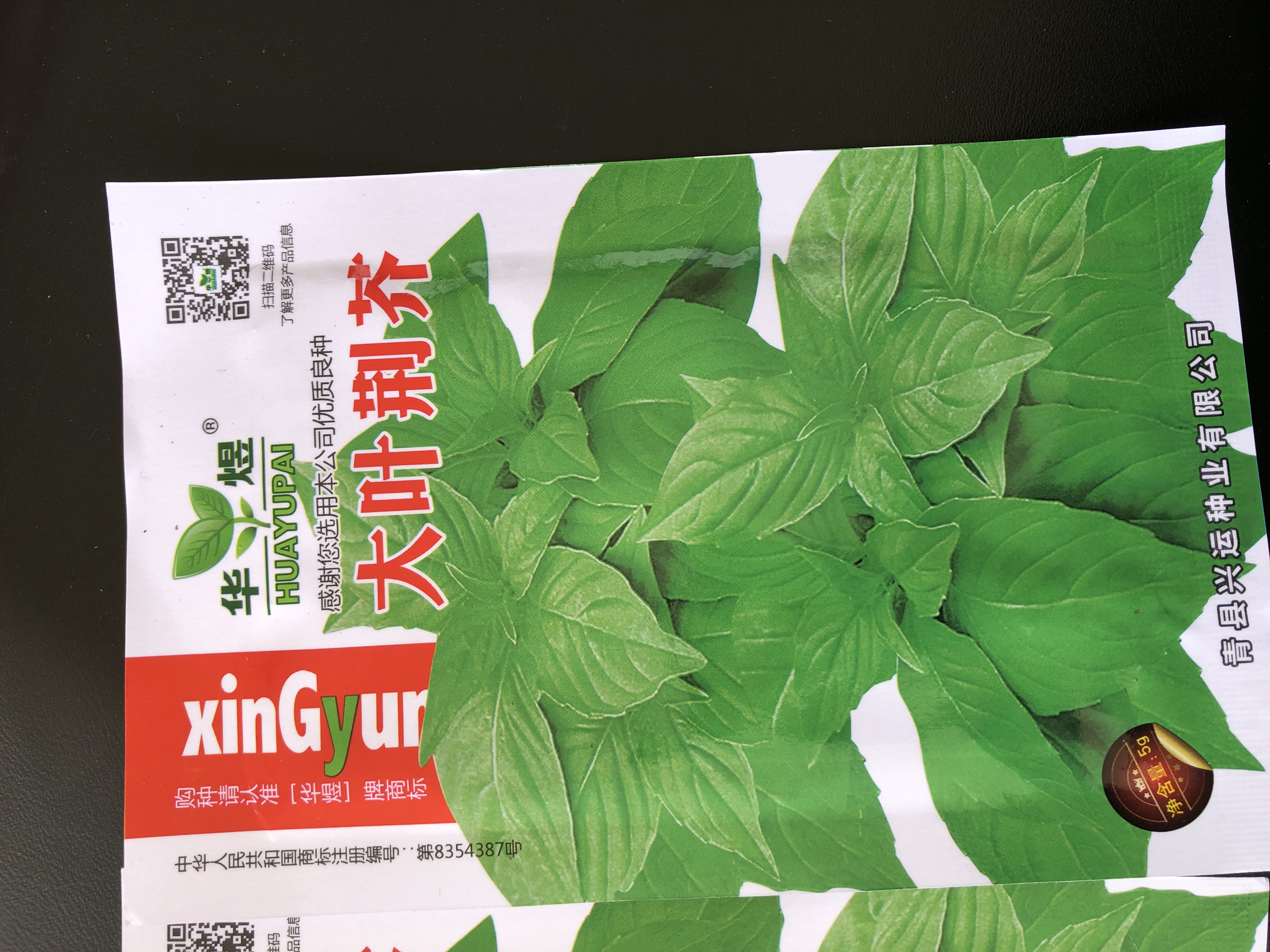 河南大叶荆芥种子菜籽阳台盆栽蔬菜种子农家四季播种荆菜春播春季 大叶荆芥种子【2包 约2千粒】 实拍图