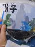 方家铺子中华老字号 六星裙带菜268g烘干海带菜海产干货 凉拌火锅食材 实拍图