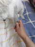 HELLOJOY宠物猫咪狗狗排梳猫梳子宠物去浮毛开结钢梳布偶长毛猫专用猫毛梳 实拍图