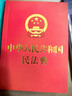 2026最新民法典及司法解释全编（含法律条文主旨）·条文速查小红书 实拍图