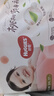 好奇（Huggies）铂金装小桃裤成长裤XXL74片(15kg以上)尿不湿【透爽散热】 实拍图