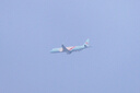 佳能（Canon）RF100-400mm F5.6-8 IS USM 全画幅微单镜头 远摄变焦镜头 轻量防抖 超远长焦 晒单送赠品 实拍图