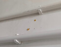 联塑（LESSO)PPR水管 冷热水10米带10配件套装 4分20自来水白色热熔管【2.5MPa壁厚3.4mm】 实拍图