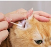 普安特宠物猫咪耳螨狗狗猫咪洗耳液滴耳液马拉色菌复方制霉菌素膏尔加分 实拍图