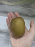 佳沛（zespri）新西兰金果巨大果22粒原箱单果146-175g 端午礼物水果礼盒 猕猴桃 实拍图