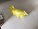 欢宠网狗狗雨衣全包四脚宠物狗小狗大型犬柯基雨披雨天遛狗防水防湿护肚 实拍图