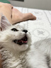 REICHOLD伍德氏灯猫藓灯紫外线灯猫尿365nm紫光手电筒真菌检测UV镜 晒单实拍图