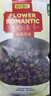 贡苑特级玫瑰花茶【绿色食品】平阴重瓣大朵胎玫瑰无硫花草养生茶 实拍图