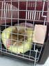 喵先生【带挂碗+垫板】宠物航空箱大号狗猫托运箱猫咪狗狗航空箱运输箱 二号 建议25斤以内 实拍图