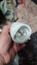 榄菊儿宝健电蚊香液1瓶50晚+拖线器 无香电蚊香蚊香液防蚊驱蚊液 实拍图