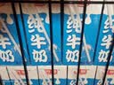 光明纯牛奶250ml*24盒*2箱3.2g原生乳蛋白营养早餐端午送礼家庭量贩装 实拍图