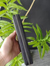 七匹狼（SEPTWOLVES）男士钱包长款拉链皮夹手包真皮手拿包牛皮钱夹大容量多卡位证件包 款式一黑色(修面牛皮 ) 实拍图