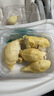 丝塔芙倍润保湿润肤乳473ml牛油果滋润补水面霜护手霜身体乳敏感肌 实拍图