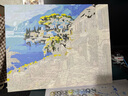 好久不见数字油画diy风景花卉手绘油画填色客厅装饰画儿童手工画挂画 实拍图
