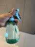 喷壶浇花浇水喷雾器气压式喷水壶家用园艺养花500ml 南瓜喷壶透蓝【1个装】 实拍图