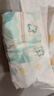 好奇（Huggies）好奇小森林纸尿裤M22片(6-11kg)尿不湿心钻【低敏天花板】 实拍图