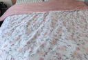 LOVO罗莱家纺 全棉四件套纯棉抗菌被套枕套被罩双人床品200*230cm 实拍图